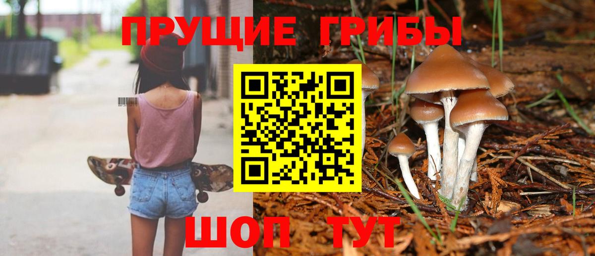 Псилоцибиновые грибы Cubensis  Вход с VPN  Красноперекопск  даркнет сайт  Галлюциногенные грибы MAGIC MUSHROOMS 